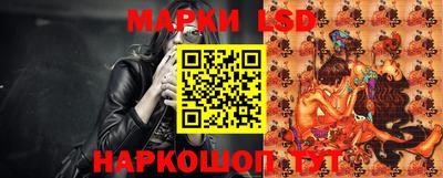 стафф Гусев