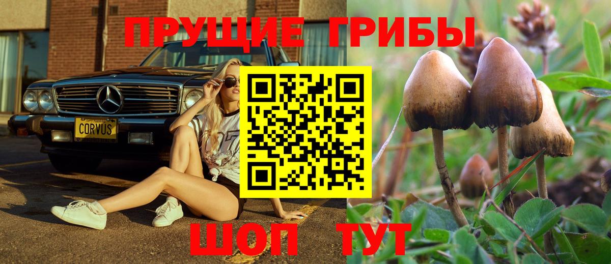 Псилоцибиновые грибы мухоморы Нижнекамск