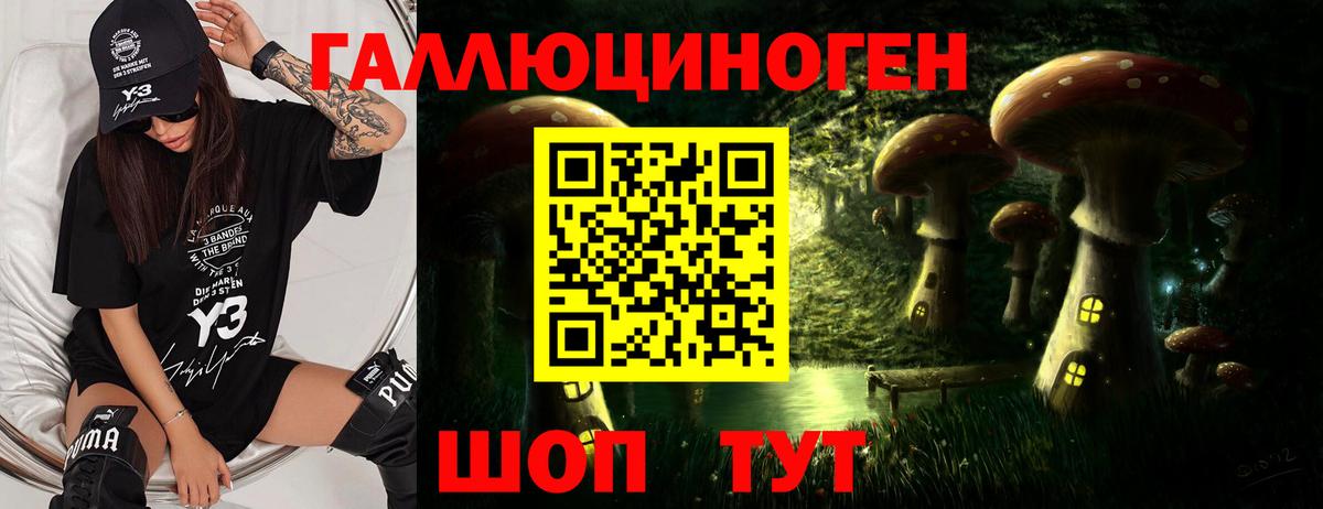 Псилоцибиновые грибы мухоморы  Вход с VPN  купить   Нижнекамск 